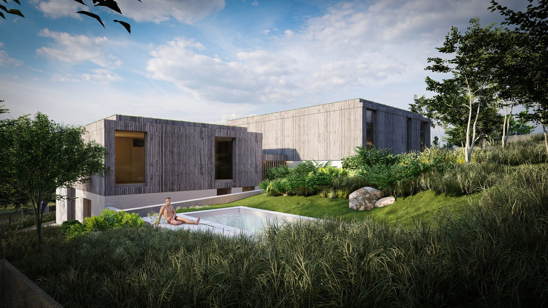 Solymár garden and pool architectural rendering
